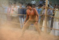 Driver Ramudu Movie Stills